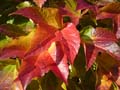 160DSC00220